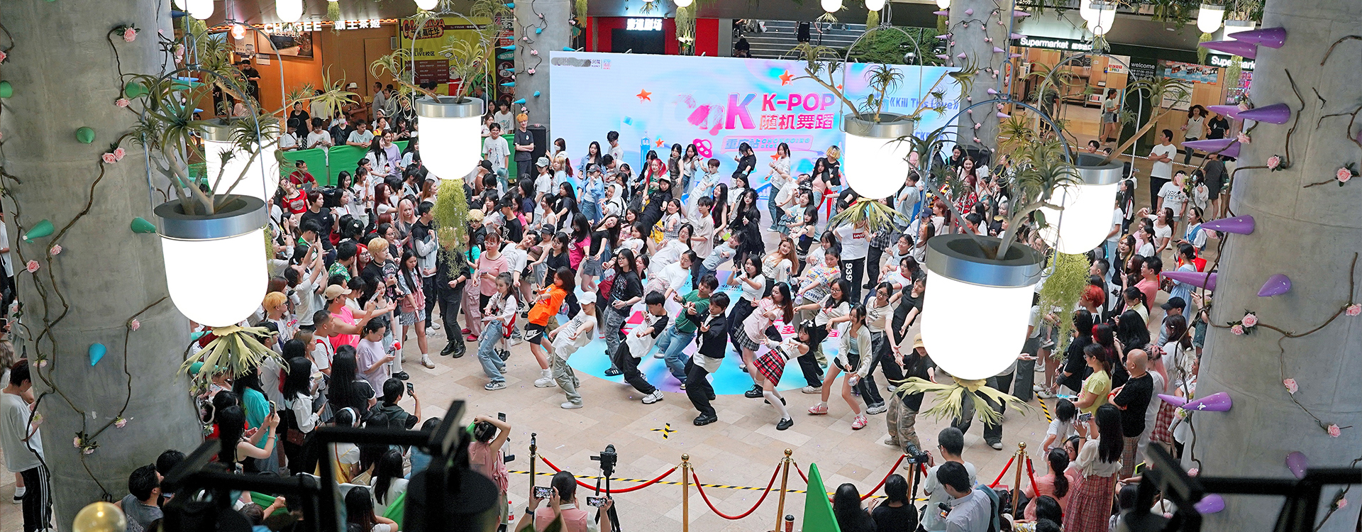 重庆文艺专辑公司